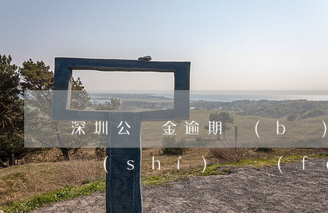 深圳公積金逾期補(bǔ)交全攻略：如何及時(shí)繳費(fèi)避免影響權(quán)益？